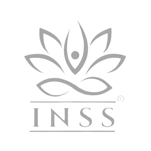 INSS logo